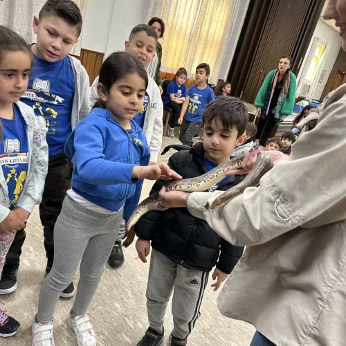 Monthly Celebration (2)