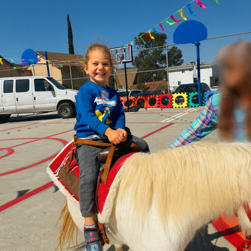 Monthly Celebration Days